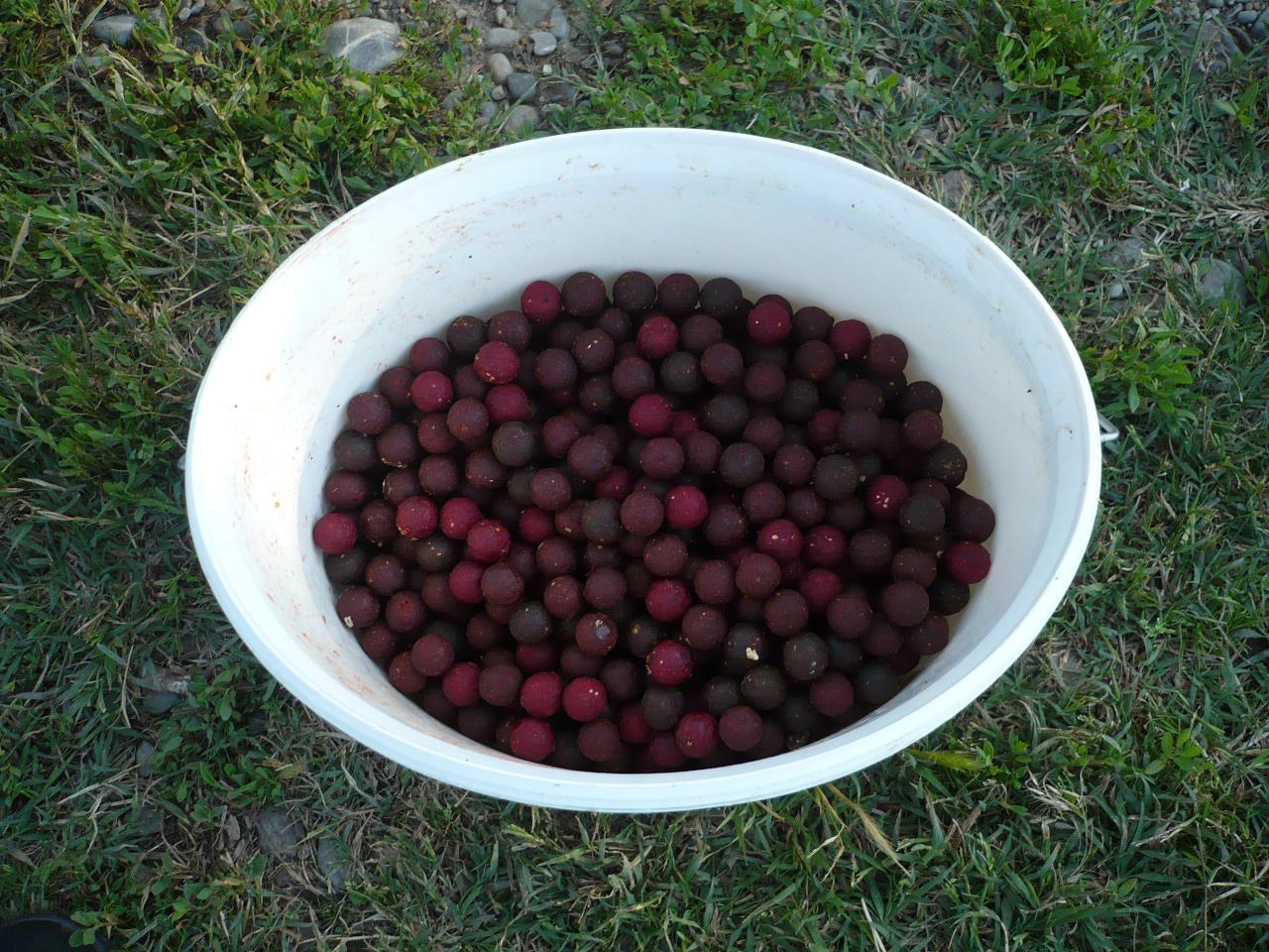 Cupa Carpbook Sulimanu 28-29 iunie 2014 - 13.JPG